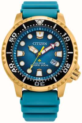 Citizen Promaster Diver eco-drive homme cadran bleu sarcelle bracelet pu bleu BN0162-02X